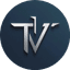 Techiventure logo